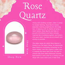 Load image into Gallery viewer, Crystal Infused Water Bottle