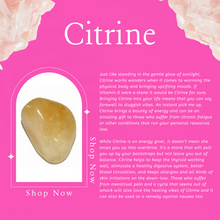 Load image into Gallery viewer, Crystal Infused Water Bottle