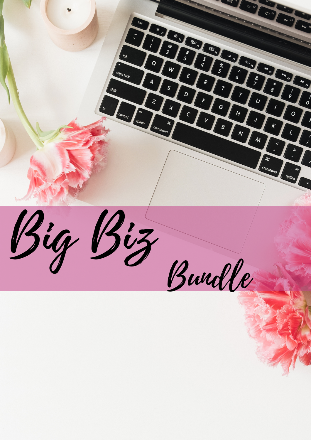 Big Biz Bundle