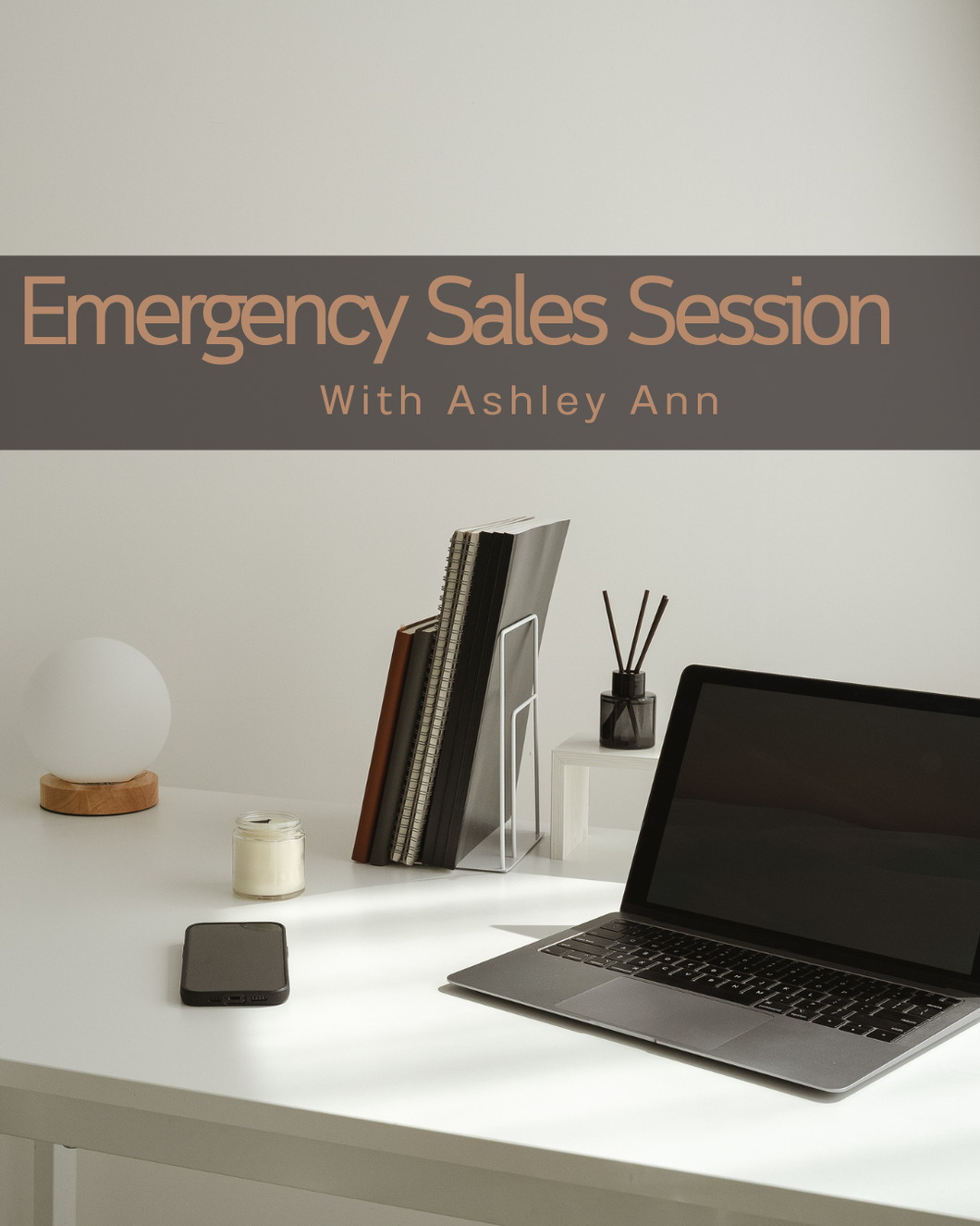 Emergency Sales Session with Ashley Ann